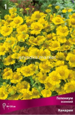 Гелениум осенний Канария 1шт (желтый, 160см, l)