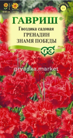 Гвоздика садовая Гренадин Знамя Победы 0,05г Дв 60см (Гавриш) Н25