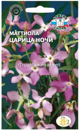 Маттиола Царица Ночи (двурогая) 0,3г (Седек)