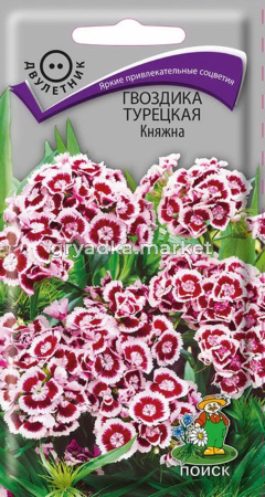 Гвоздика Турецкая Княжна (ЦВ) (