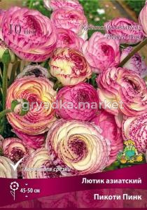 Лютик Пикоти Пинк 10шт (45-50см, цветки лососёво-розовой и красно-оранжевой, 7-8)