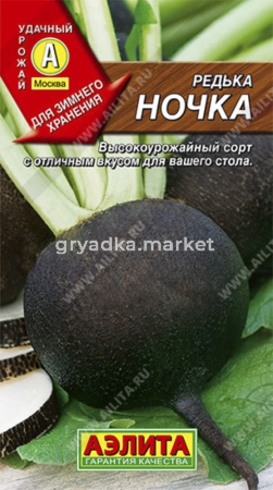 Редька Ночка (Аэлита)