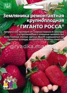 Земляника Гиганто Росса ремонтантная (УД)