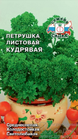 Петрушка Кудрявая (Седек)