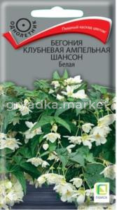 Бегония клубневая ампельная Шансон Белая 10шт (Поиск)