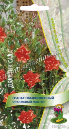 Гранат обыкновенный Оранжевый мастер (ЦВ) (
