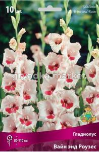Гладиолус Вайн энд Роузес ( 7 шт.) 10-12