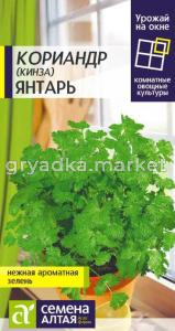 Кориандр (Кинза) Янтарь 2г Ср (Сем Алт) Урожай на окне