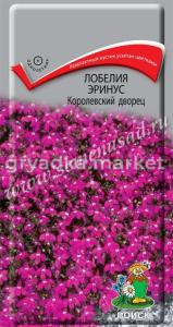 Лобелия Эринус Королевский дворец 0,1г. КУСТОВАЯ Поиск