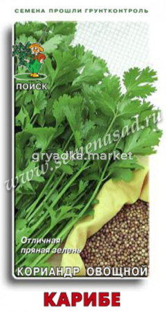Кориандр (Кинза) Карибе 3г (Поиск)