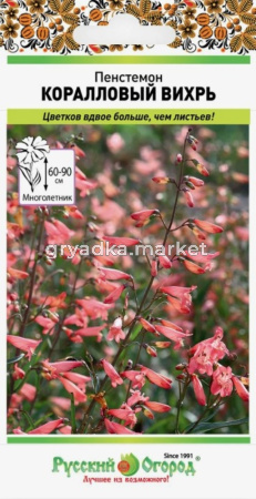 Пенстемон Коралловый вихрь 5шт Мн 35см (НК)