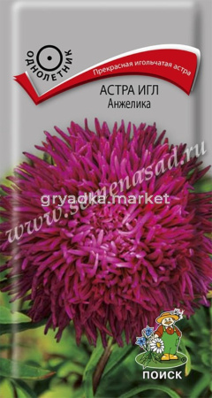Астра игл Анжелика  0,3гр Поиск
