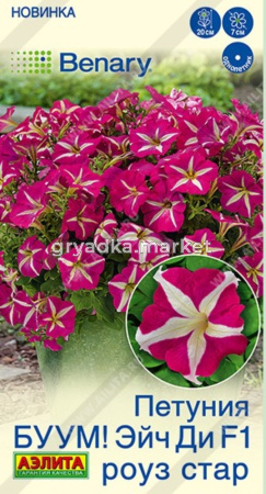 Петуния Джолли F1 Стар вельвет многоцветковая 7шт Одн 30см (драже в пробирке) (Аэлита) Farao