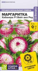 Маргаритка Хабанера F1 Вайт виз Ред 5шт (Сем Алт)