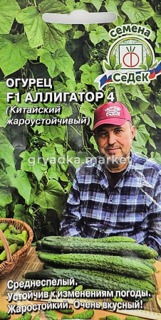 Огурец Аллигатор 4 F1 (Китайский жароустойчивый) 0,2г Пч Ср (Седек)