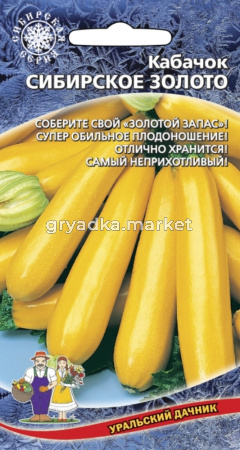 Кабачок Сибирское Золото (УД) ЧСС -невероятно урожайный-