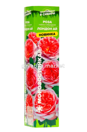 Скриншот 27-03-2025 140407-Photoroom