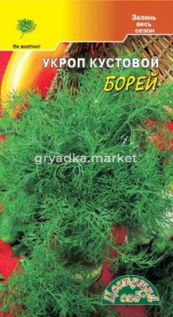 Укроп Борей кустовой ц-п Цвет сад