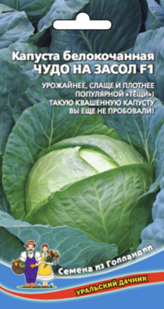 Капуста б-к Чудо на Засол F1 (УД) ЧСС -идеален для квашения,засола,до 4кг-