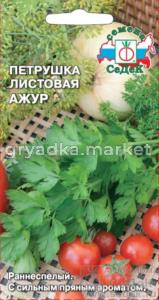 петрушка Ажур (листовая) Седек