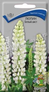 Люпин (декоративный) Белый аист (ЦВ) (