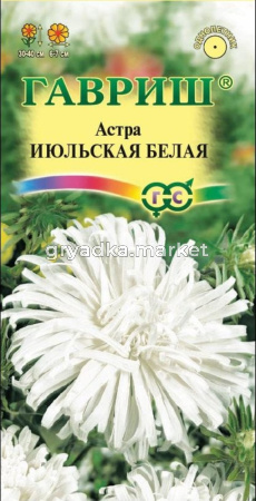 Астра Июльская белая 0,3г (Гавриш)