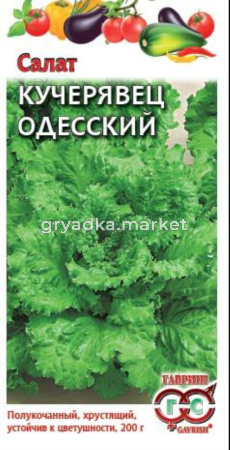 Салат Кучерявец Одесский 0,5г Гавриш