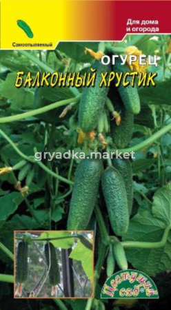 Огурец Балконный Хрустик 0,3г.-партен.- F1 Цвет.Сад.