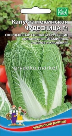 Капуста Пекинская Кудесница F1 (УД)