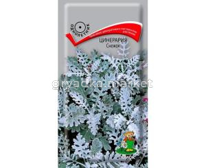 Цинерария Снежок 0,1г Поиск