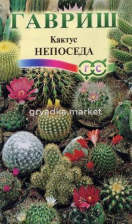 Кактус Непоседа смесь 0,05г.Гавриш