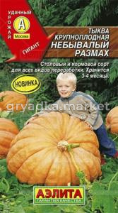 Тыква крупноплодная Небывалый размах (Аэлита)
