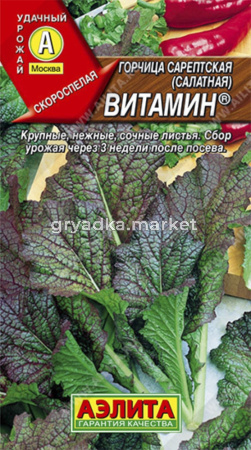 Горчица Витамин Салатная (Аэлита)