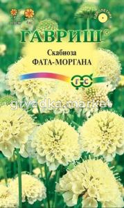 Скабиоза Фата-моргана темнопурпурная  махр. 6шт Одн 90см (Гавриш) Н22