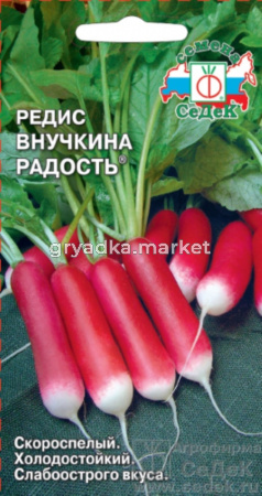 Редис Внучкина радость (Седек)