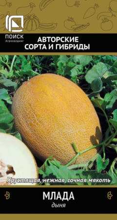 Дыня Млада 15шт Ср (Поиск)