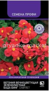 Бегония вечноцветущая зеленолистная Бада Бинг Скарлет 15шт (Поиск) 