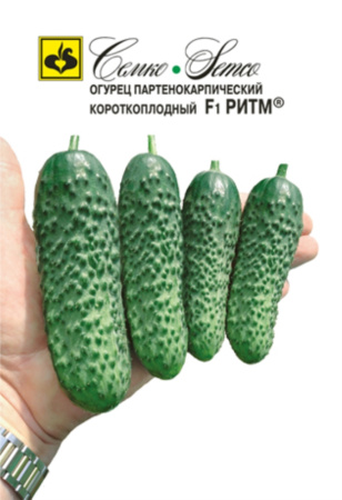 Огурец Ритм F1,Парт,холод,не перераст, Семко Огурец Ритм F1,Парт,холод,не перераст, Семко