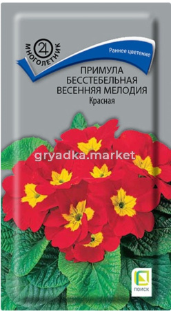 Примула Весенняя мелодия бесстебельная красная 10шт Мн 15см (Поиск)