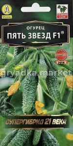 Огурец Пять звезд F1 10шт Парт Ранн (Аэлита) Зеленая гирлянда