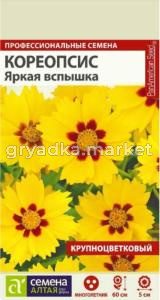 Кореопсис Яркая вспышка крупноцв 10шт (Сем Алт)