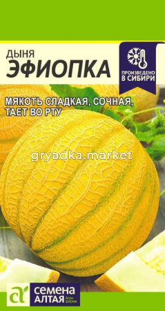 Дыня Эфиопка 1г Ср (Сем Алт)