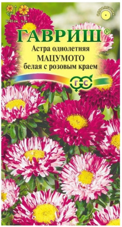 Астра Мацумото белая с розовым краем 0,3г Одн 65см (Гавриш)