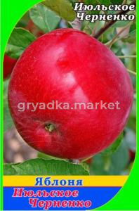 Яблоня Июльское Черненко 2022 гп раннелетний сорт (V8) (ПДИ)