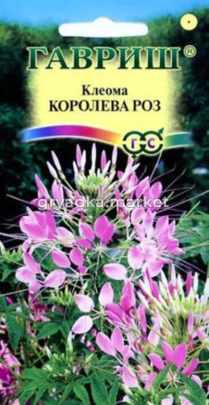 Клеома Королева роз 0,3г Гавриш
