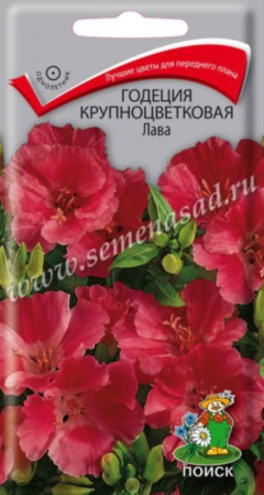 Годеция Лава 0,2гр. Поиск