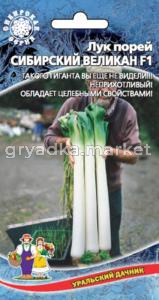 Лук порей Сибирский Великан F1 (УД) ЧСС