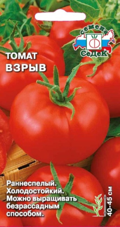 Томат Взрыв 0,1г ,ран.,45см. до 150г.(Седек)