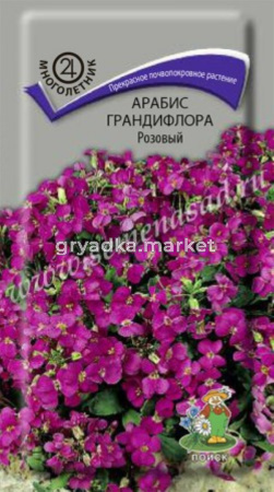 Арабис грандифлора Розовый (ЦВ) (