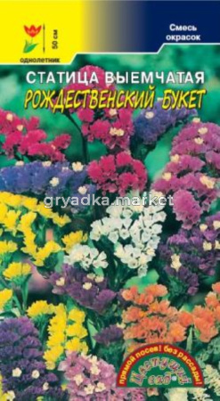 Статица Рождественский букет Цвет.сад.